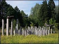 Yatra by Stephen Cox