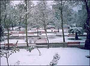 محمد نيک عهد