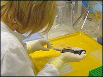 प्रयोगशाला में वैज्ञानिक