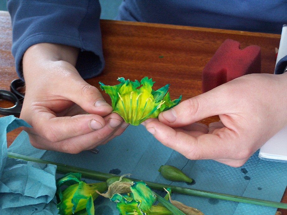 The Stamen are now green.