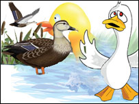 ساعتتيری مرغابی ها