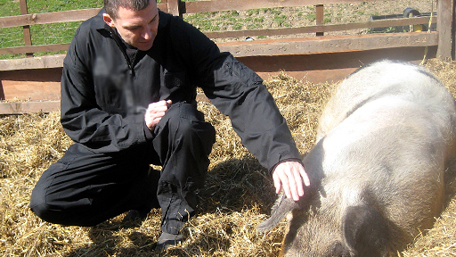 Local Hero Day 3 - Westwood's director commentary