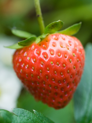 Strawberry