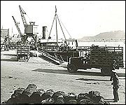 Tomatoes awaiting export at the White Rock