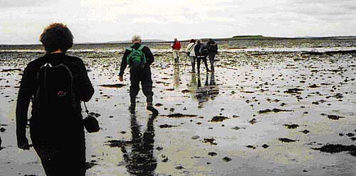Strangford Lough - full of Tidal Treasures - Photo by Stan Howes