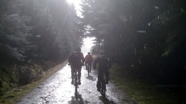 Three cyclists on a trail in the Strathmashire Forest.
