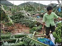 Cảnh sau bão tại tỉnh Quảng Đông