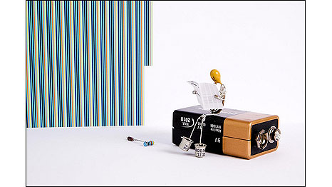 (Foto: Lenny & Meriel Lenfesteys)