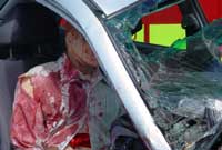 Y car ar Faes y Steddfod