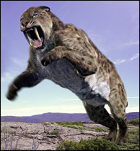 tigre dente-de-sabre