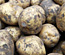 Potatoes