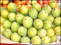 اس سال آموں کے حجم میں بھی کمی آئی ہے 