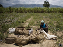 Një fermere e varfër