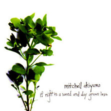 Review of If Night is a Weed and Day Grows Less