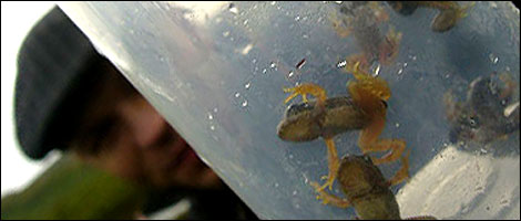 Brandon shows his findings (C) Jonty Wilde / Yorkshire Sculpture Park 