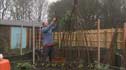 Toby Buckland creating wigwams to support his sweetpeas