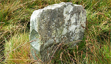 A Pembrokeshire bluestone
