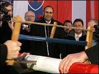 सीमा विलय