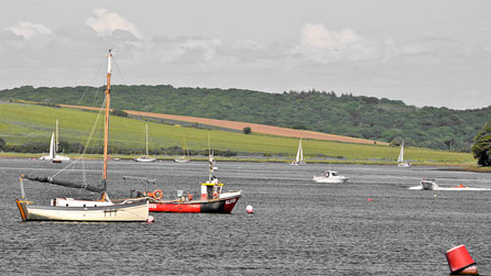 Pembroke Dock (Photo: Maciej Martyka from BBC Wales Nature Flickr group)
