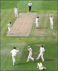 क्रिकेट पिच