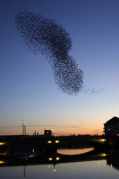 Susan Gass and Peter Archdale