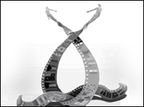 Logo for the Community Film Festival