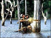 قطع درختان آمازون