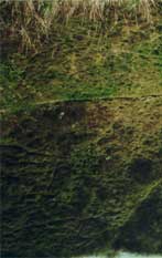 Lochnagar Crater today