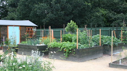 the City Veg Garden at Greenacre