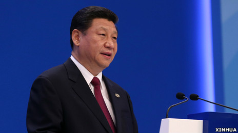 中国国家主席习近平(7/4/2013)