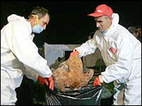 Pracovníci karantény