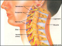 وقايه مهره های گردن