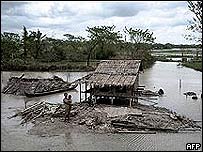 Ruộng đồng tan hoang vì bão