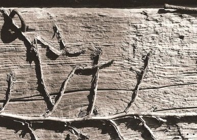 The Old Farm Building