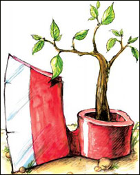 گرسنگی در اطفال