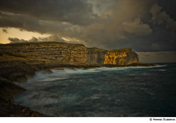 Photo by Armand Sciberras