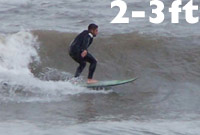 2-3ft pic by boxey