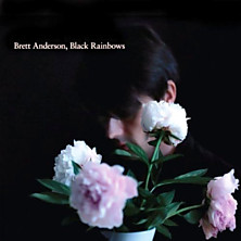 Review of Black Rainbows