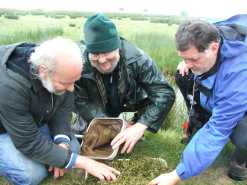 Lionel Kelleway, Trevor Beebe and Paul Harmes in search of the Great Silver Water Beetle.