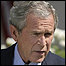 جورج بوش