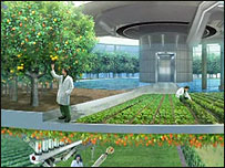 Projeto de avião solar