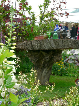 The Apothecary’s Garden 1