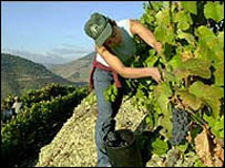 trabalhador em Portugal