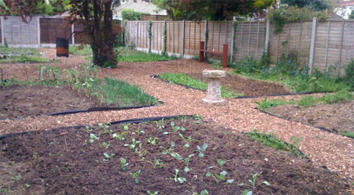 Kevin Smith's allotment path