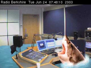 Shark in the studio