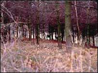 Cannock Chase