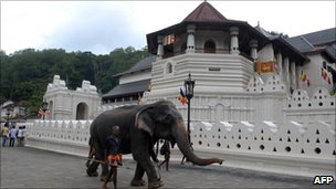An elephant in front of Sri Dalada Maligawa (file photo)