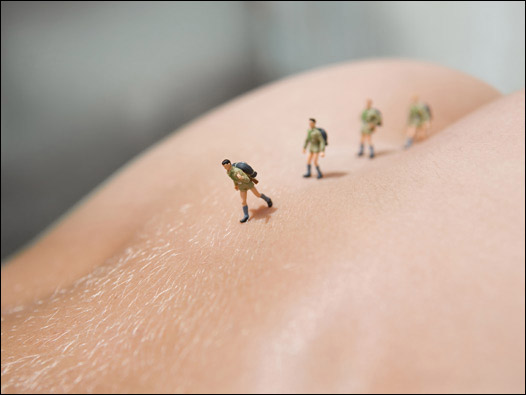 'Caminhada selvagem' - Vincent Bousserez/ Twentyonehundred