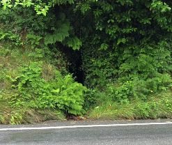 The roadside entrance to a cave that houses the British Cave Spider on the Isle of Man.