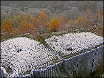 At Doulton Clay Pit, by By Mike Jemmett